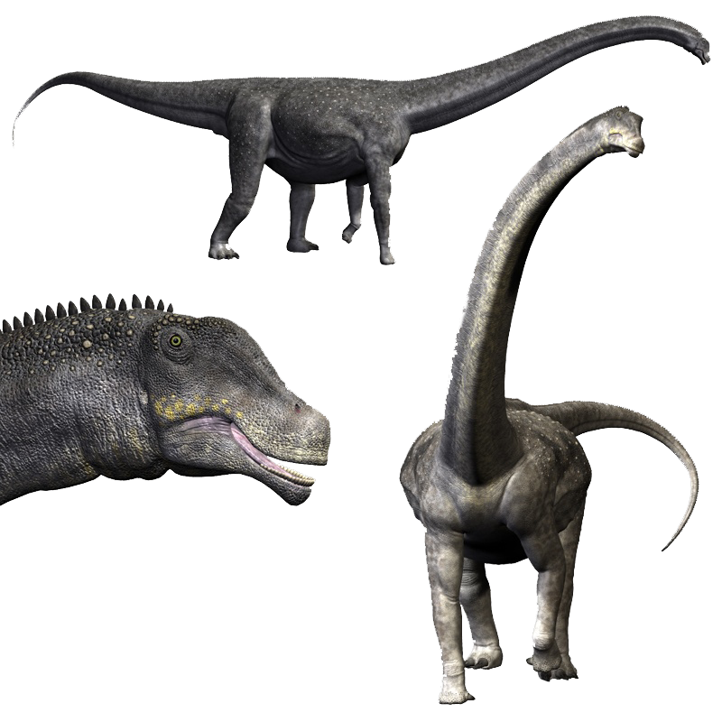 titanosaurid