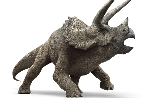 two horned triceratops