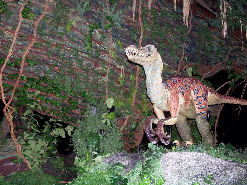 Image - Animal Kingdom velociraptor.jpg | Dinosaur Wiki | FANDOM