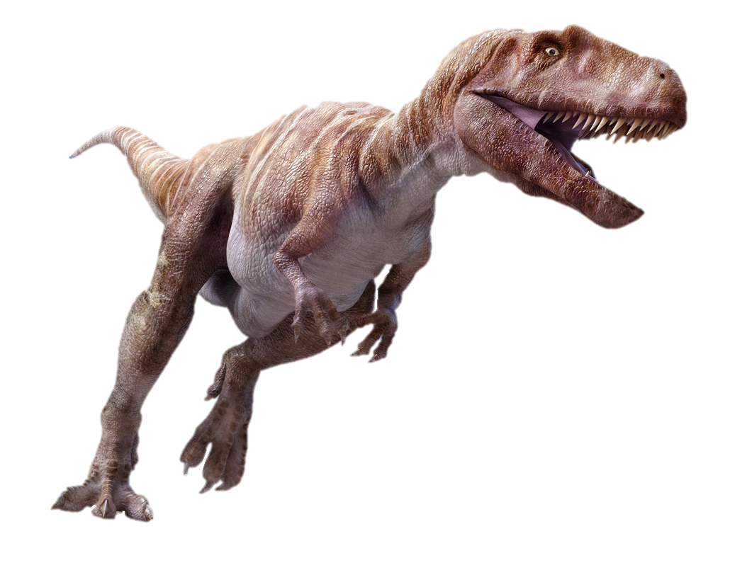Megalosaurus Dinosaur Wiki FANDOM powered by Wikia