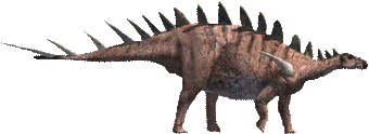 Dacenturus