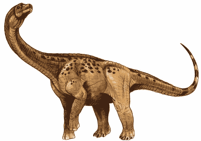 Antarctosaurus Wiki Prehistoria FANDOM powered by Wikia
