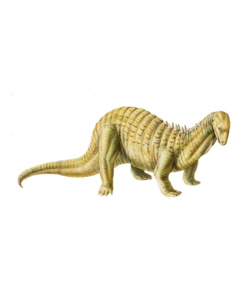Acanthopholis1