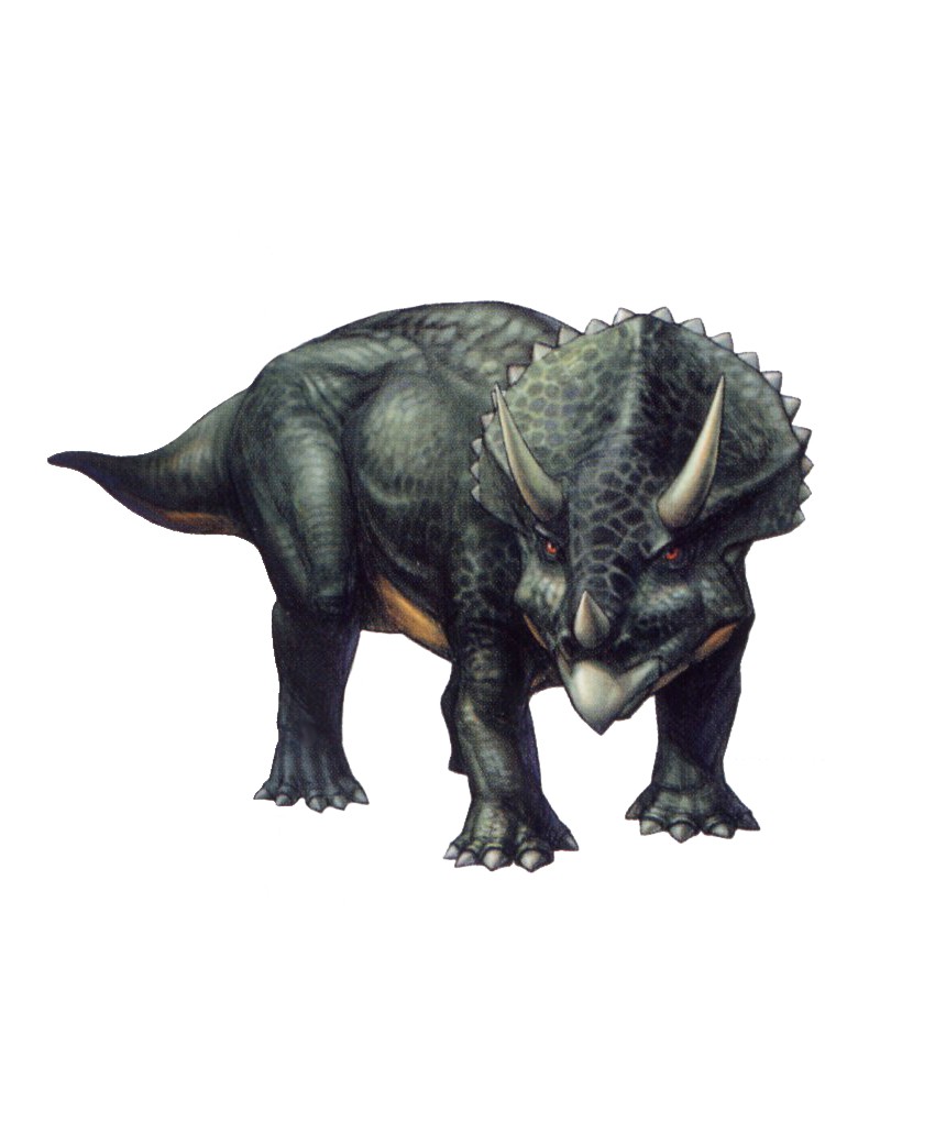 were triceratops herbivores