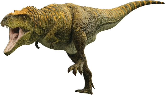 Safari Ltd - New for 2021