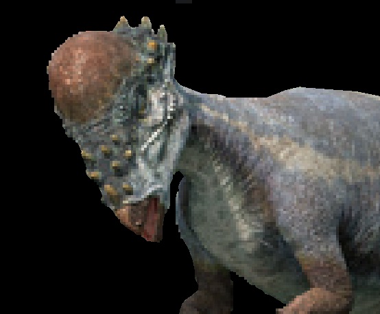 Pachycephalosaurus Dinopedia The Dino Dan Wiki Fandom 6027