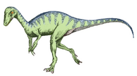 Eoraptor sketch5