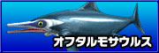 Ophthalmosaurus off