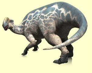 Althirhinus