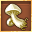 Bolet Falisk Blanco