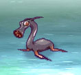 Hippo sombra