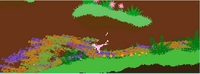 Sea of lizards