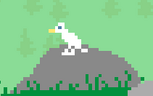 Bird..