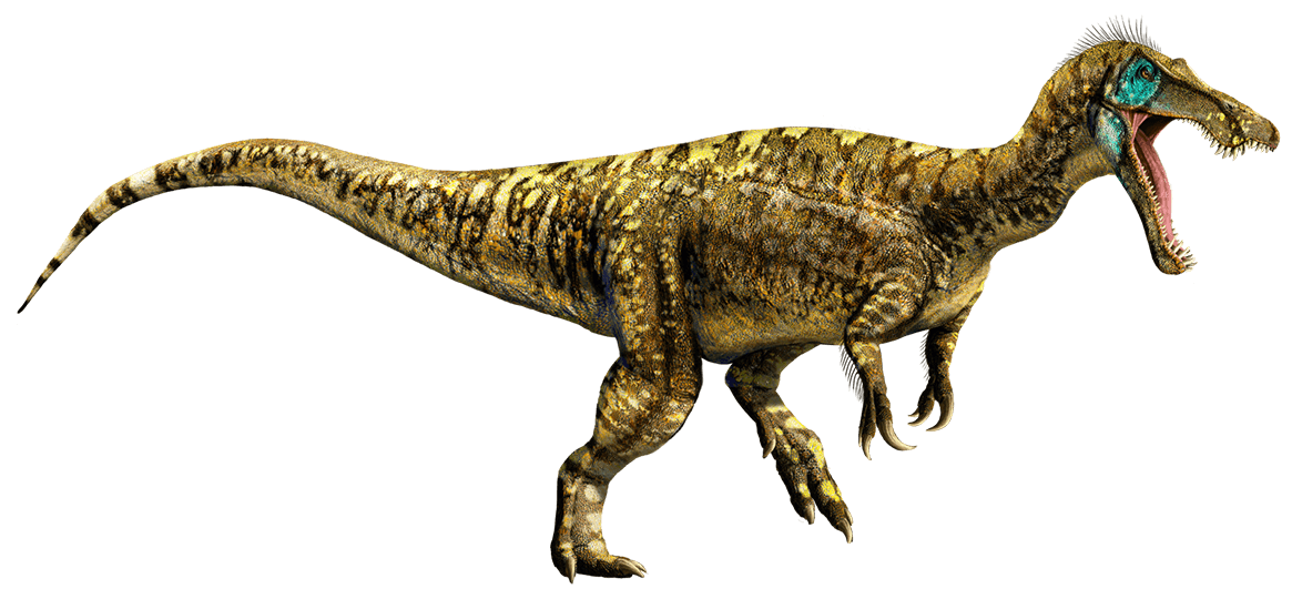 Image result for baryonyx