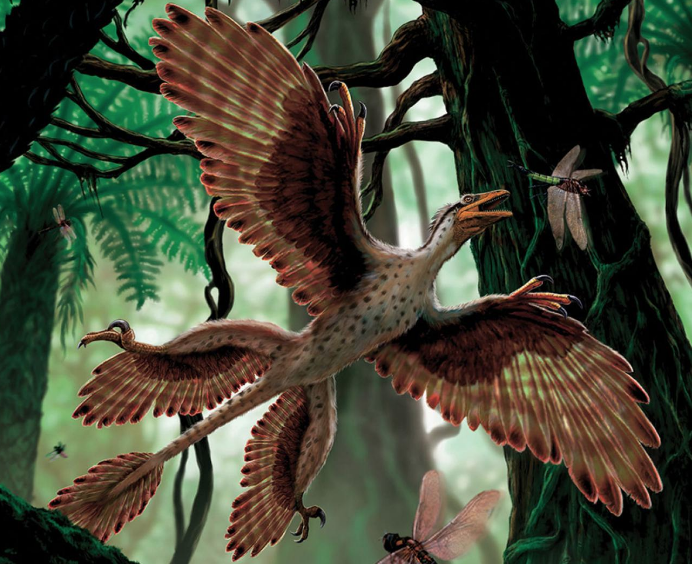 prehistoric kingdom microraptor