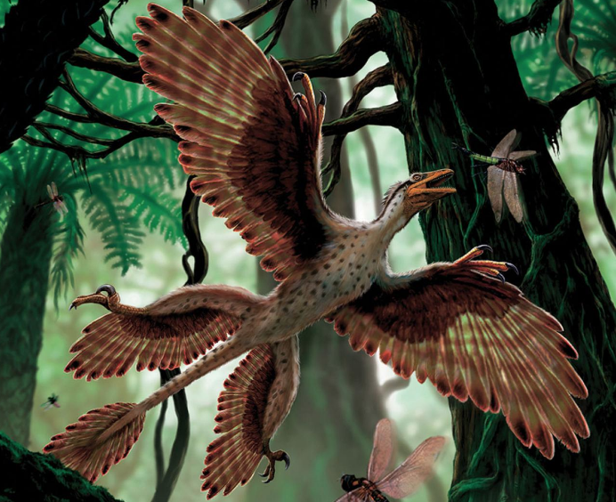 microraptor planet dinosaur