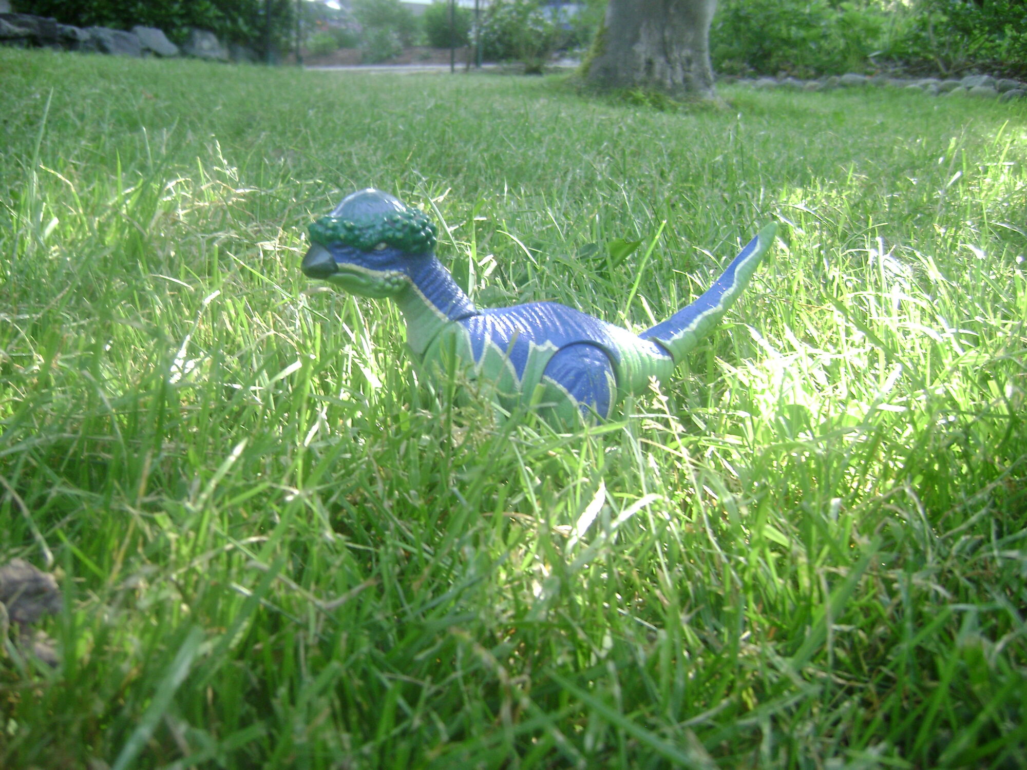 dino with hammerhead