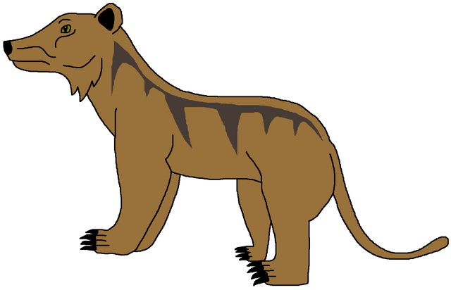 Image - Amphicyon.png | Dinosaur Pedia Wikia | FANDOM powered by Wikia