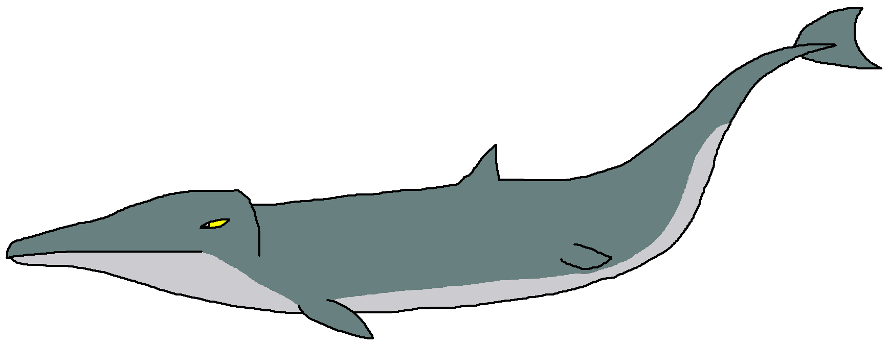 Image Basilosaurus.png Dinosaur Pedia Wikia FANDOM powered by Wikia