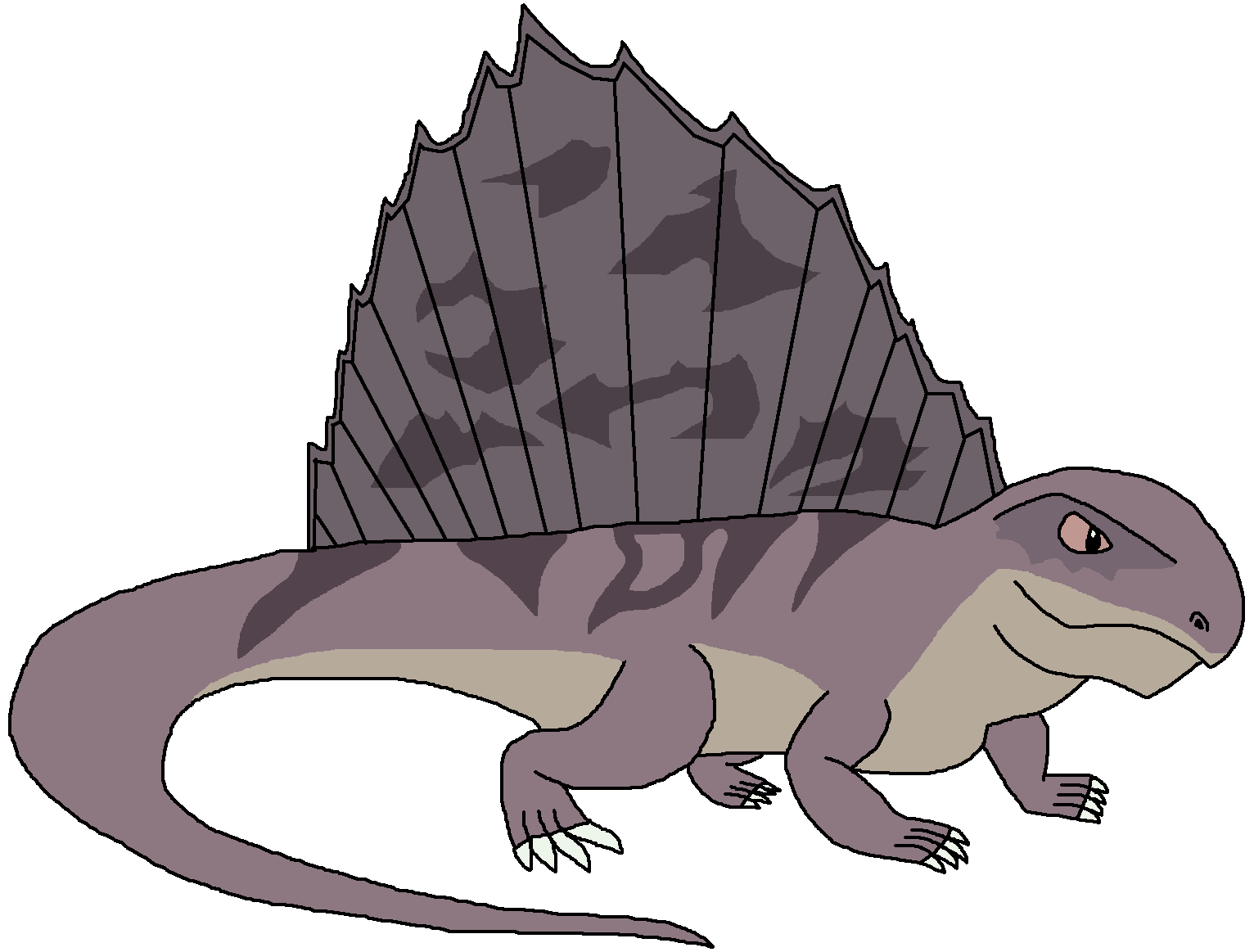 dimetrodon is a dinosaur