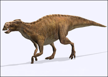 Na maiasaur hzoom
