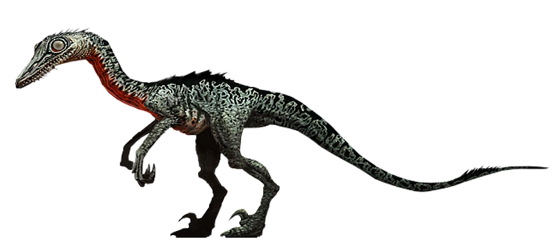 Image result for troodon