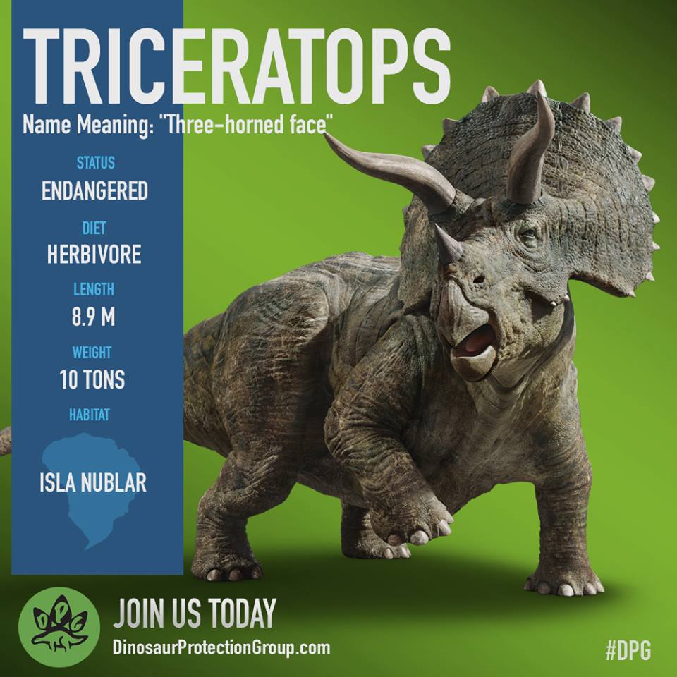 image-triceratops-dpg-jpg-dinosaur-protection-group-wiki-fandom