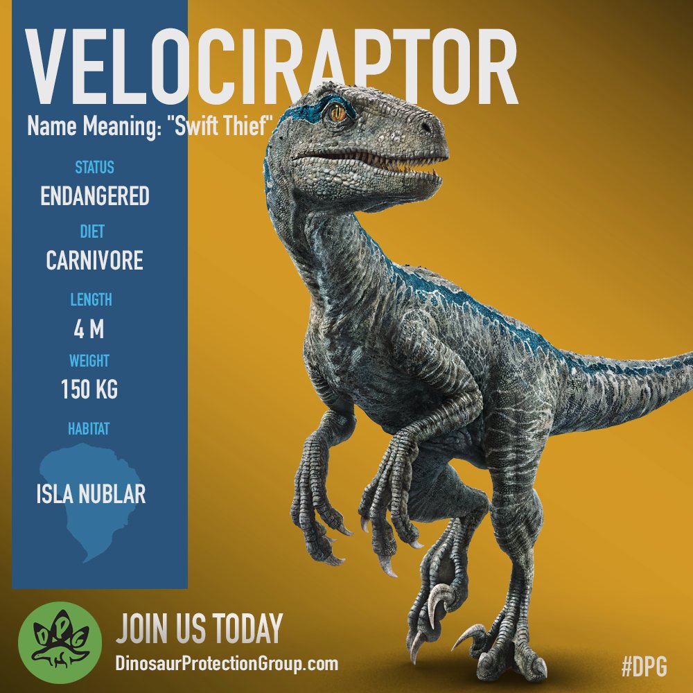 velociraptor kingdom