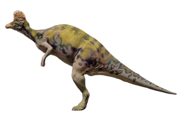 upright dinosaur with fin on head
