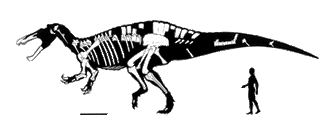 Suchomimus