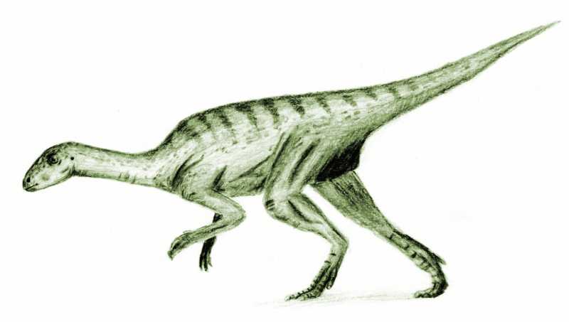 Dinosaurier wiki