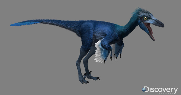 troodon dino dan
