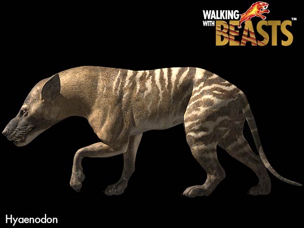image hyaenodon jpg dinosaur alive wiki fandom powered by wikia hyaenodon size
