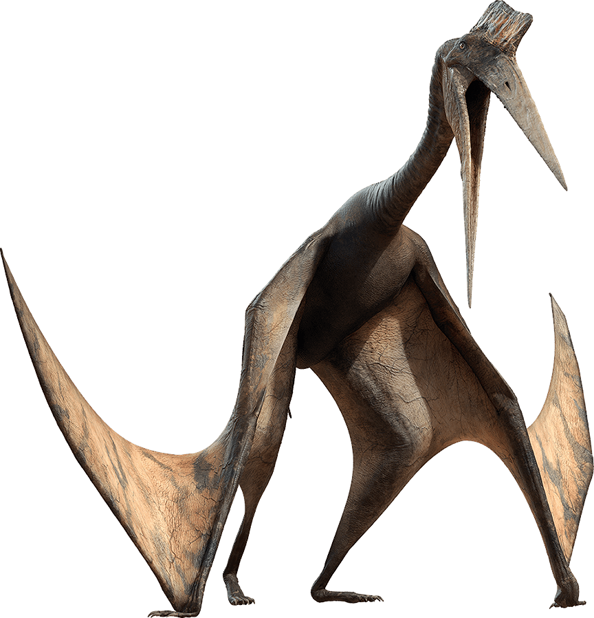 dino quetzal