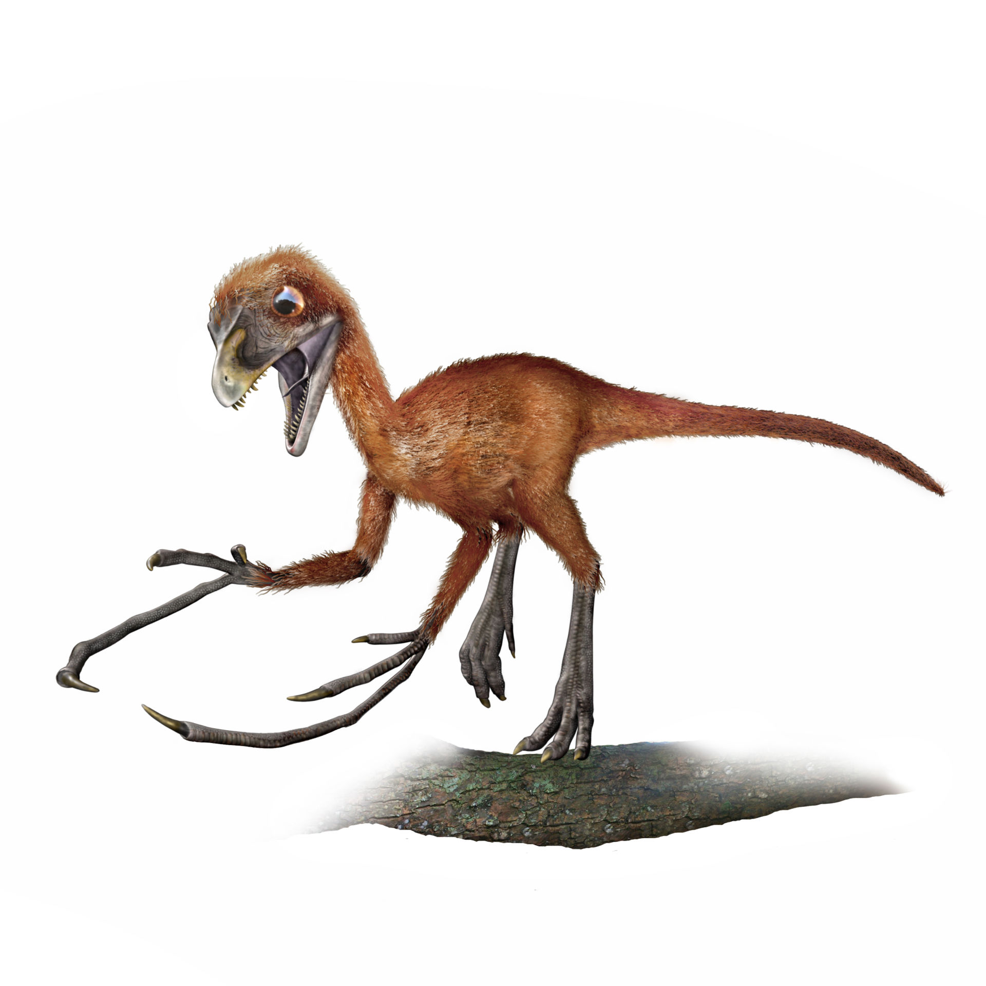 last dinosaur alive