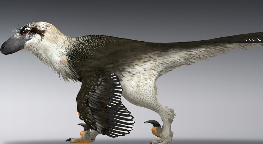 t rex omnivore