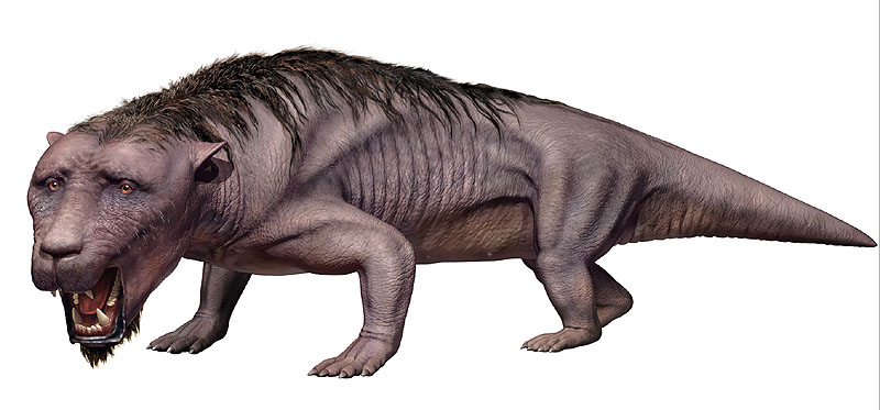 last dinosaur alive