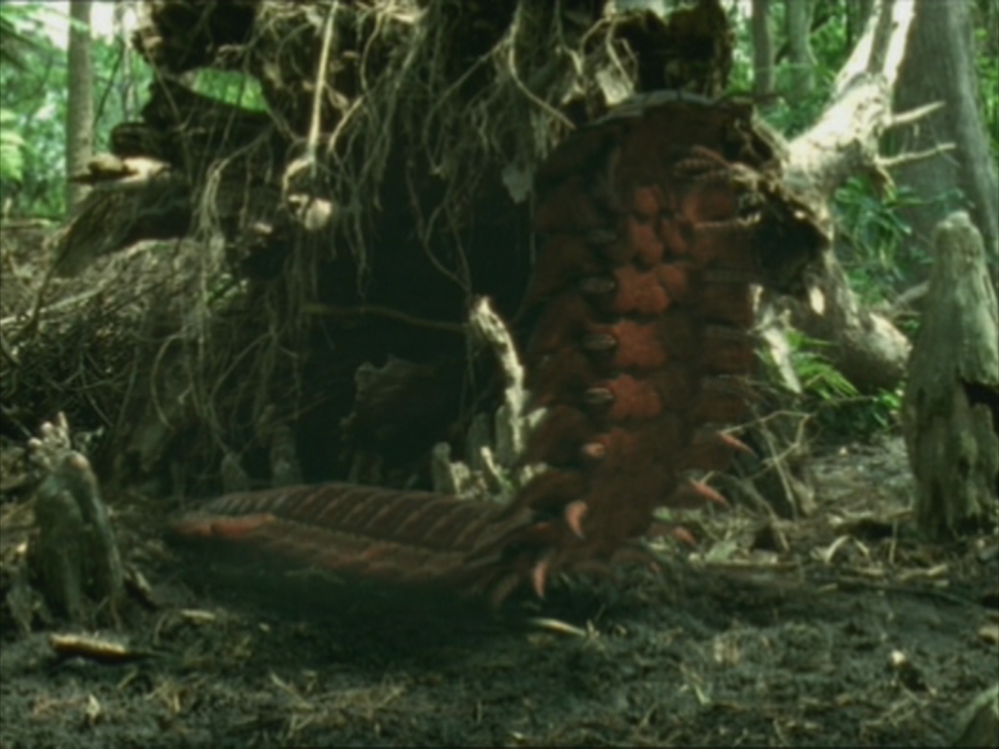 last dinosaur alive