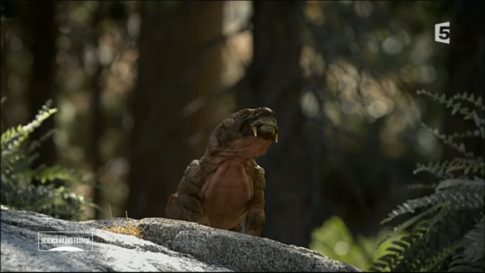 only dinosaur alive
