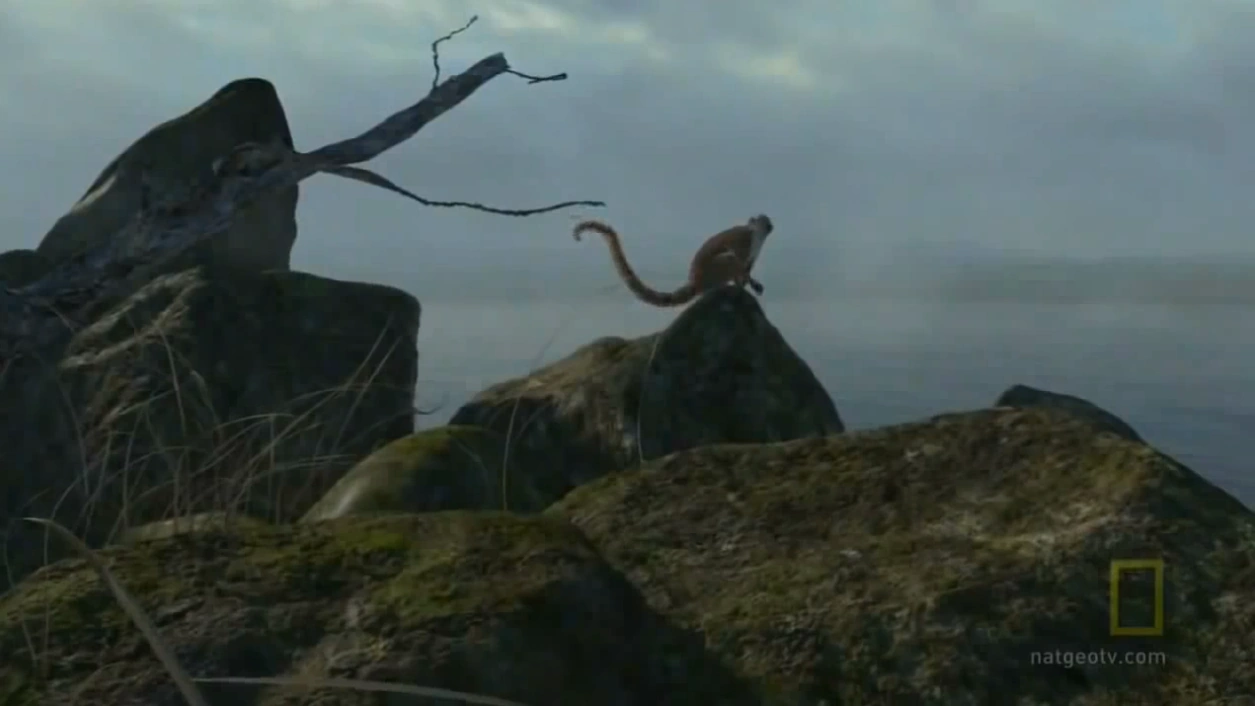 Darwinius Dinosaur Alive Wiki Fandom