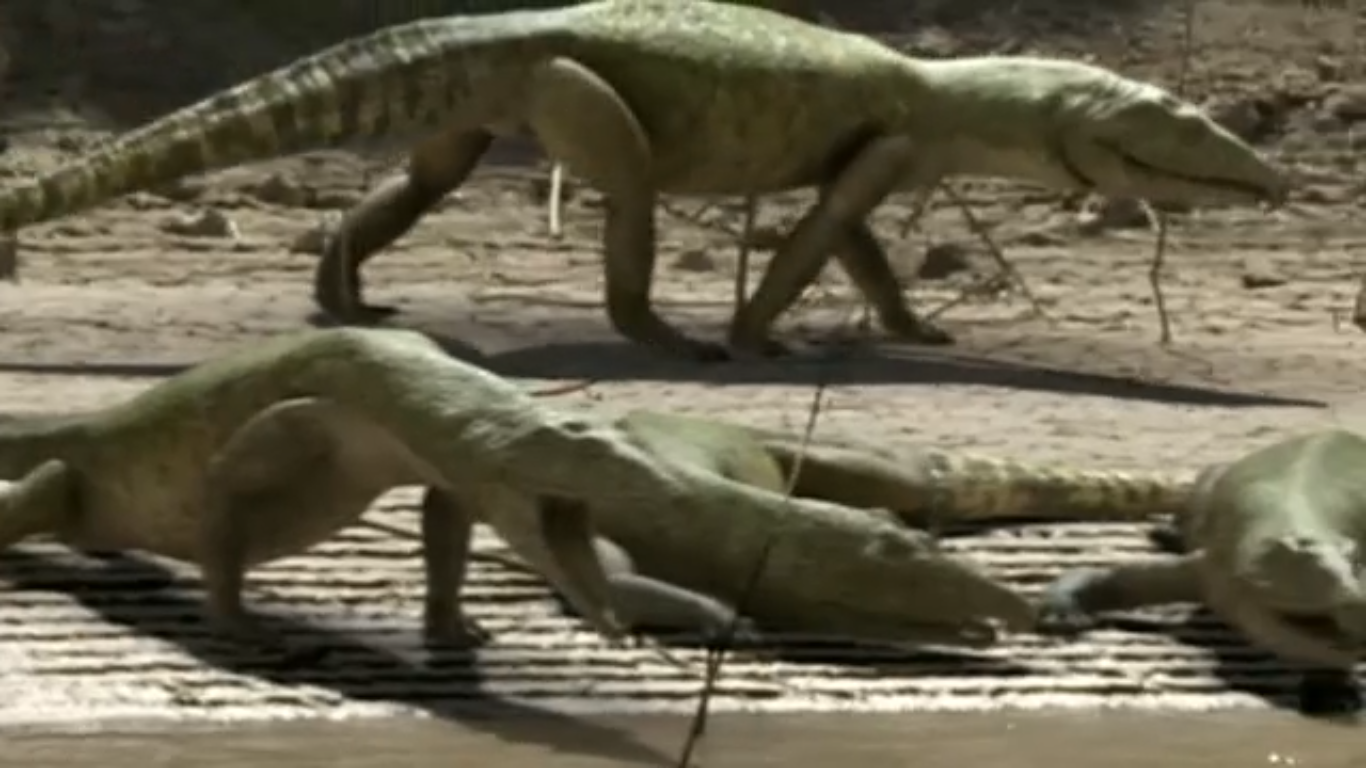last dinosaur alive