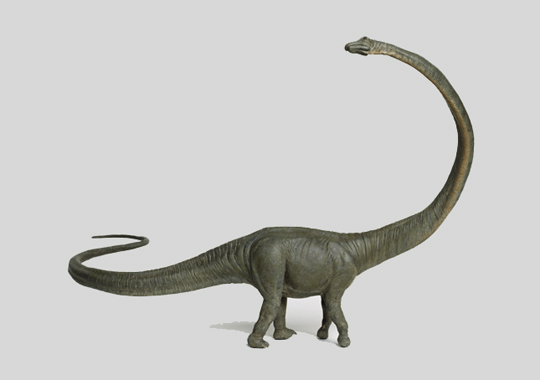 barosaurus fossil