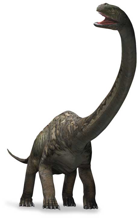 only dinosaur alive
