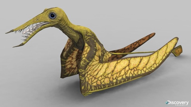 pterosaur rhamphorhynchus