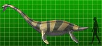 Muraenosaurus