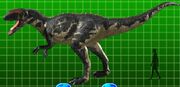 Yangchuanosaurus 2