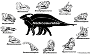 Hadrosaurs