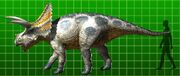 Arrhinoceratops
