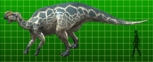 dinosaur king shunosaurus