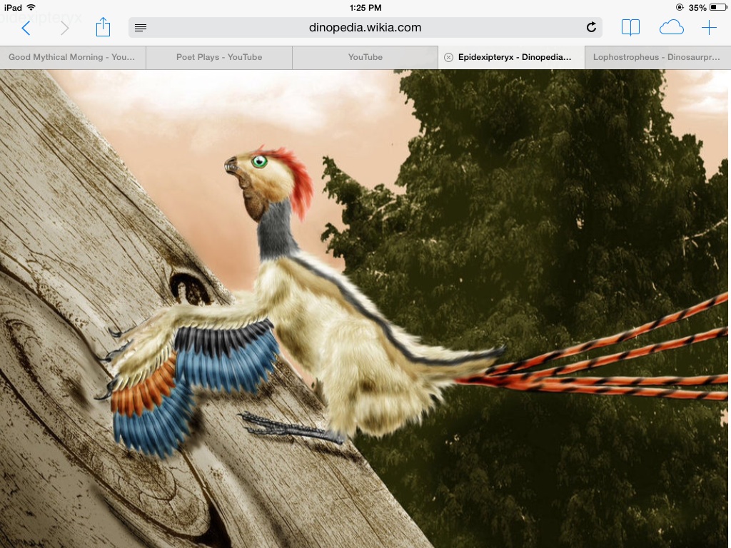 epidexipteryx